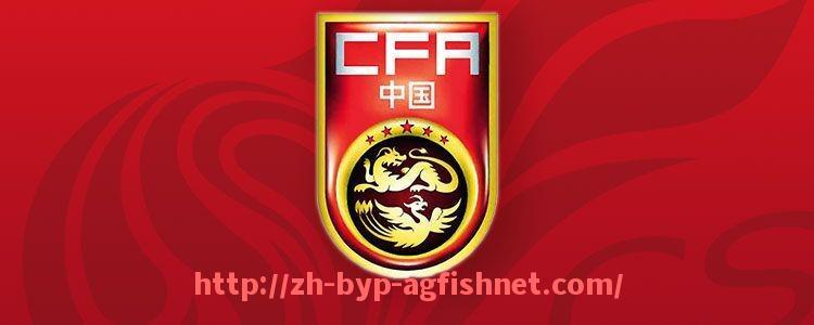 AG捕鱼王官网-世俱杯历届比赛中守门员扑救数据统计及最佳表现点评