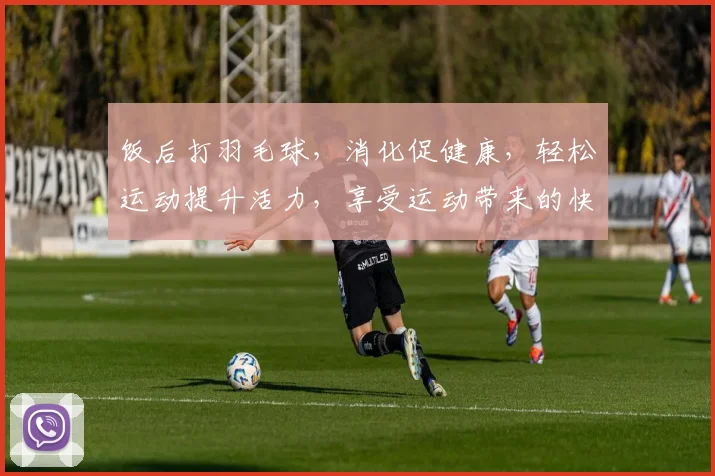 饭后打羽毛球，消化促健康，轻松运动提升活力，享受运动带来的快乐与健康