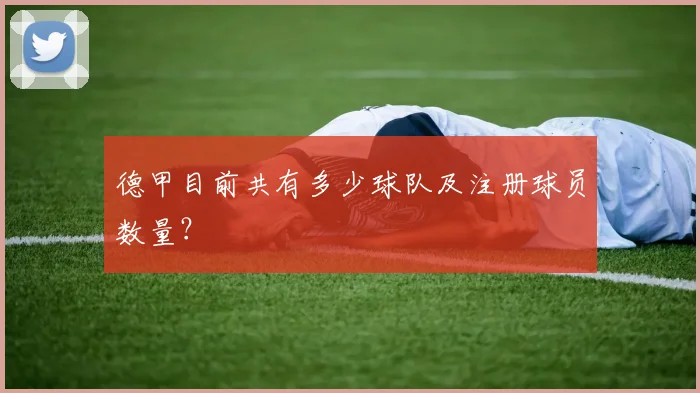 德甲目前共有多少球队及注册球员数量？