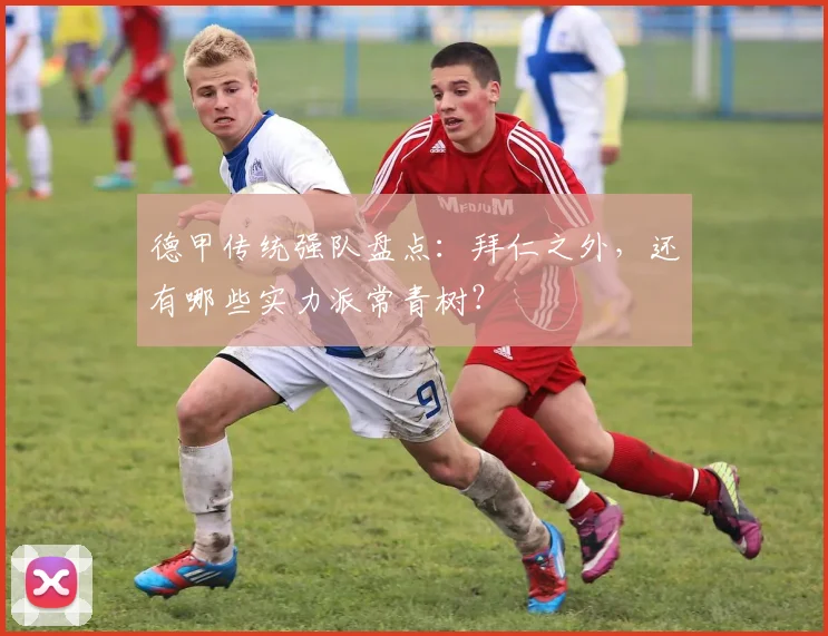 德甲传统强队盘点：拜仁之外，还有哪些实力派常青树？