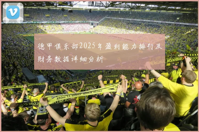 德甲俱乐部2025年盈利能力排行及财务数据详细分析