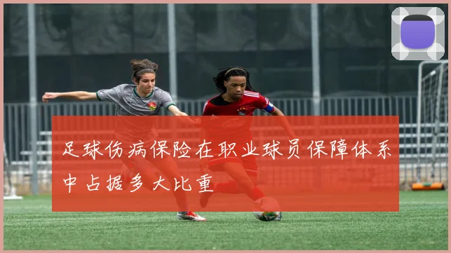 足球伤病保险在职业球员保障体系中占据多大比重
