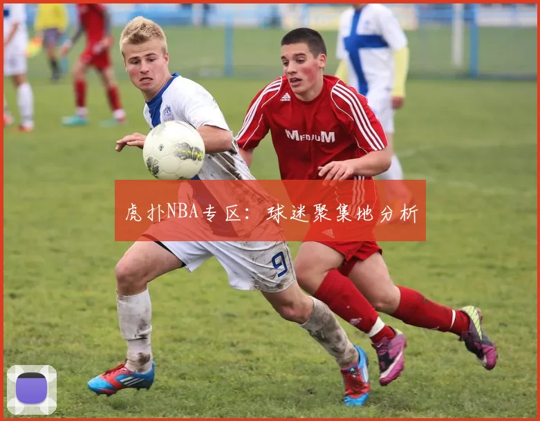 虎扑NBA专区：球迷聚集地分析