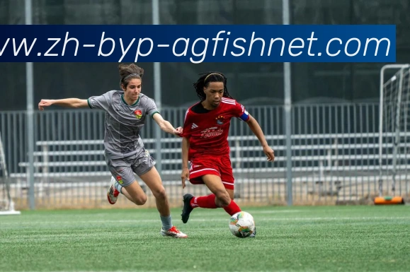 AG捕鱼王官网平台生态图