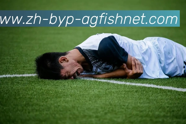 AG捕鱼王官网全站App