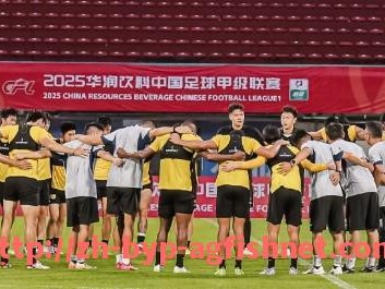 AG捕鱼王官网-意甲球队和法甲球队：意甲与法甲球队对决的特点与表现