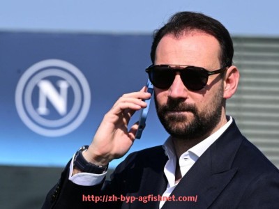 AG捕鱼王官网-英超联赛现役爱尔兰籍球员名单及其赛场表现分析